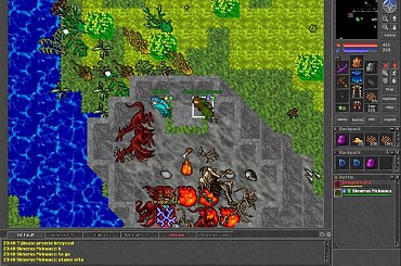 #tibia