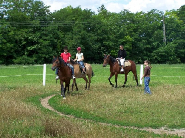 Zarogów 22.07.2008