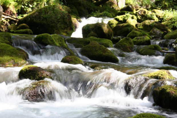 GIEWONT - KASPROWY #GÓRY #ZAKOPANE