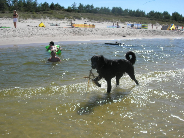 Na plaży w Łebie