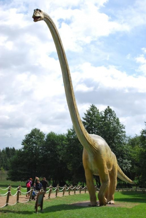 Dinozaury
