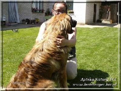 #leonberger #AptekaNatury