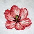 #haft #kwiat #tulipan