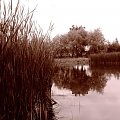 #jezioro #natura