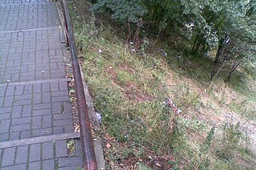 #Zgorzelec #studzienka #śmieci #Daszyńskiego #PrzedmieścieNyskie