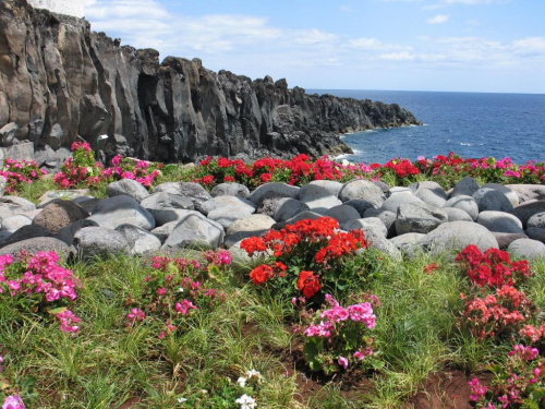 Nabrzeże w Camara des Lobos