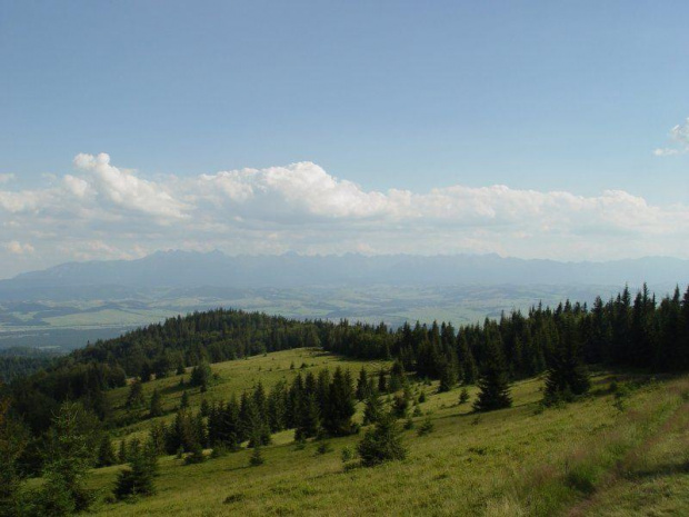 Tatry z Polany Młyńskiej #góry #gorce