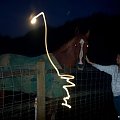 Sis and horse