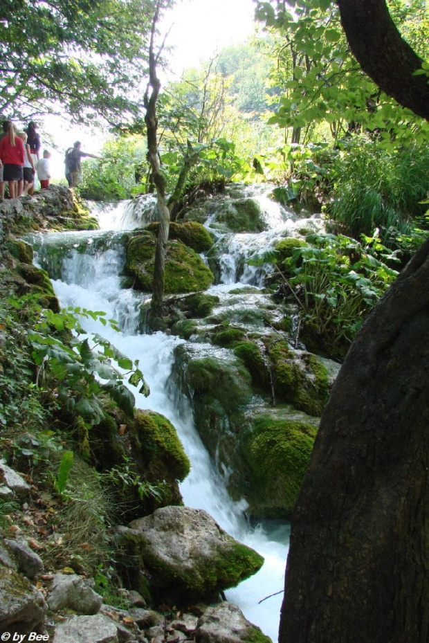 PLITVICE #PARKI #JEZIORA #WODOSPADY