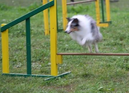 #Snickers_agility