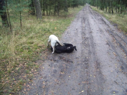 Moje szczęścia :-)