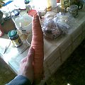 Taaaaaaaaakie marchewki choduje moja babcia, Na naturalnym nawozie z kurzego gnoju :]