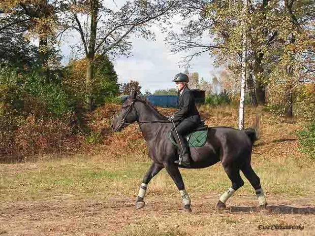 2008.10.18 Hubertus I