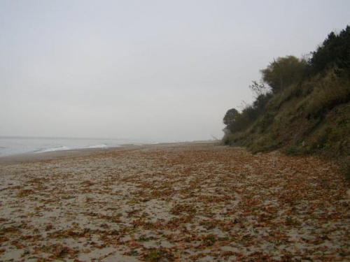 Jesień na plaży w Gąskach ...