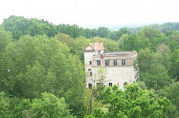 Widoczek #las #KazimierzDolny