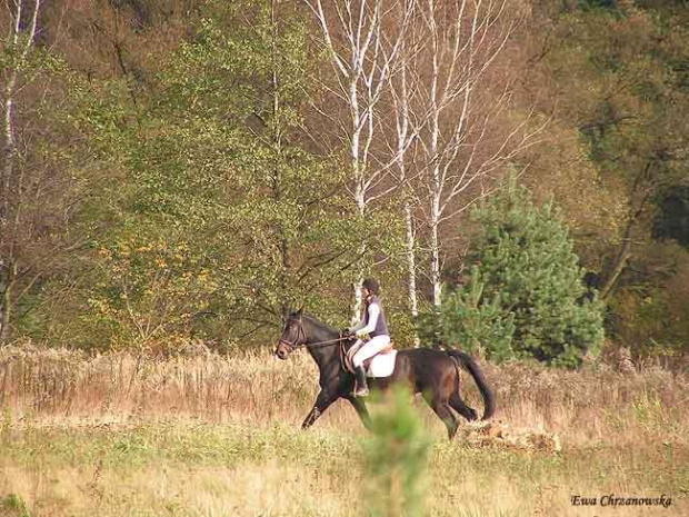 2008.10.18 Hubertus I