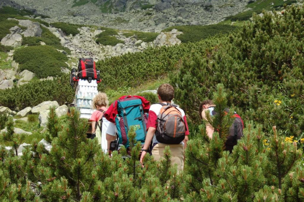 Tatry szlak na Rysy