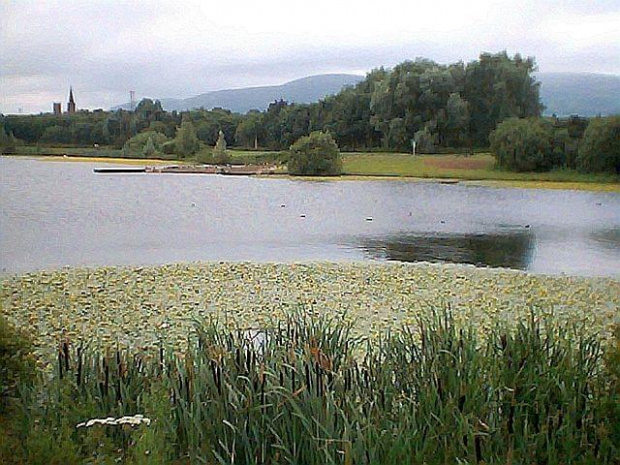 The Waterworks Park