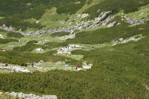 Tatry szlak na Rysy