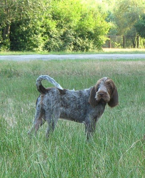 Zajęcia szkoleniowe czerwiec 2007