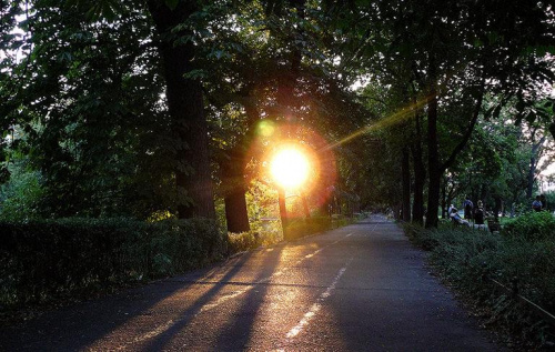Światło na końcu tunelu... #refleks #reflex #słońce #park #ścieżka #droga