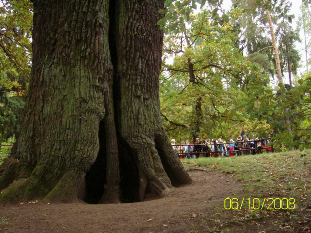 Przemkowski Park Krajobrazowy - szkolna wycieczka 2008