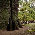 Przemkowski Park Krajobrazowy - szkolna wycieczka 2008