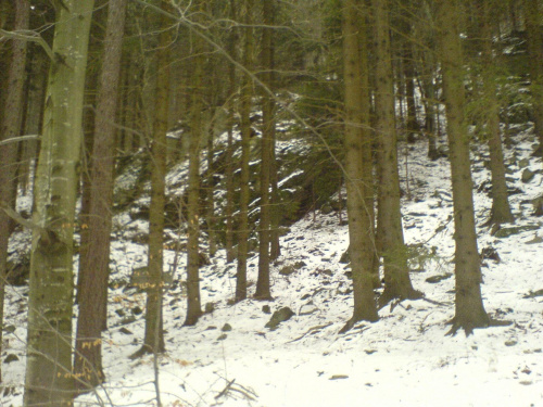 Śnieżnik, droga ze schroniska do Międzygórza #ŚnieżnikKłodzkiSudetyMiędzygórze