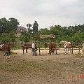 Traperska Osada COUNTRY The Medley - Bolechówko-Owińska 2007.07 #TraperskaOsadaCountryImpreza