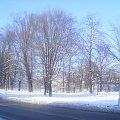 zima 2009