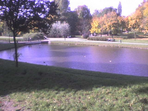 Park w łodzi