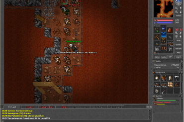 33lvl #tibia