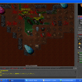 quescik #tibia