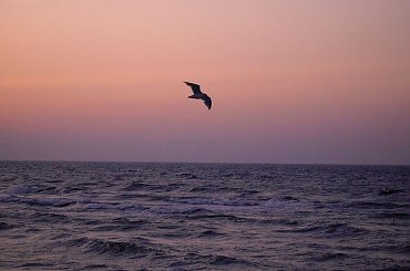 #morze #skały #JastrzębiaGóra #zachód #słońce #woda #natura #krajobraz #wakacje #ptaki