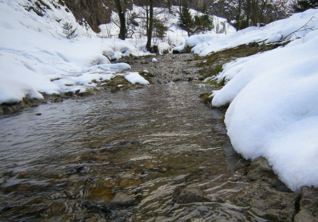 #Pieniny