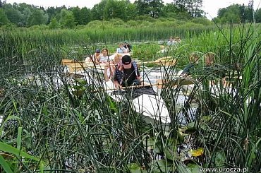 Rzeka Ełk i rzeka Biebrza oraz Kanał Augustowski na odcinu rzeki Netta #biebrza #KanałAugustowski #ełk #BagnaBiebrzańskie #netta