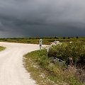 nadciąga tropikalna ulewa, Meritt Island - Floryda #usa #wycieczka