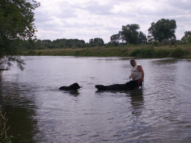 ZWIERZĄTKOWO