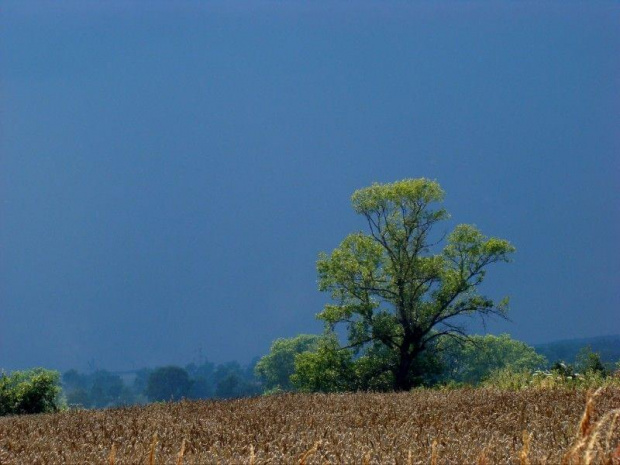 przed burzą