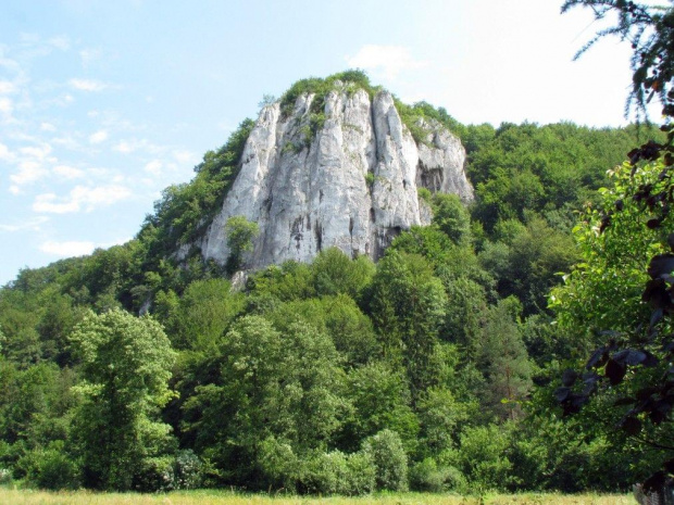 Skałka (góra) Sokolica. W Dolinie Będkowskiej.