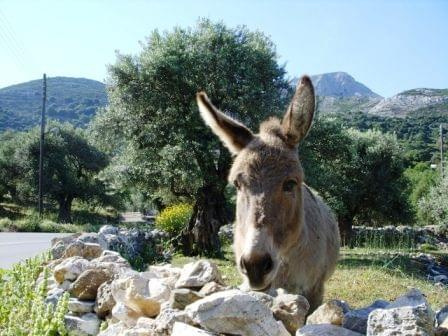 Naxos