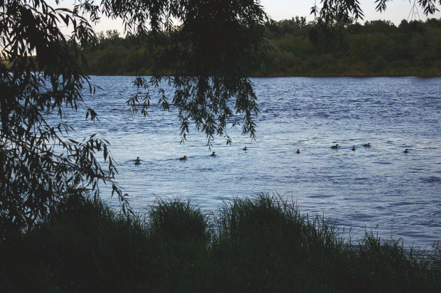 Piękno polskich rzek.Narew, Wkra