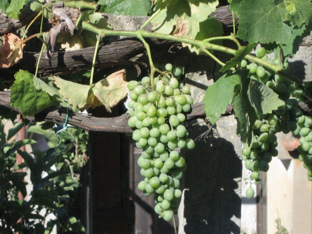 Castelllione della Pescaia czas sjesty :-))) #Wakacje