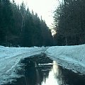 rzeka drogą płynąca. Zdjęcie na trasie szklarska-świeradów. Głębokość wody około 30-40cm #zima #woda #rzeka #las #przyroda #droga #natura #SzklarskaPoręba #ŚwieradówZdrój #drzewa #śnieg