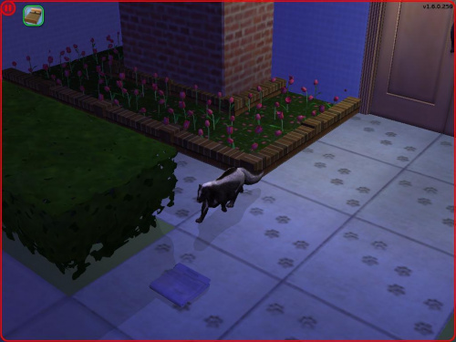 Skunks jak się puźniej okazało twórcy gry zrobili go z kota. :D Hahaha... #Sims2 #Zwierzaki