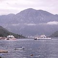 zat. Kotorska