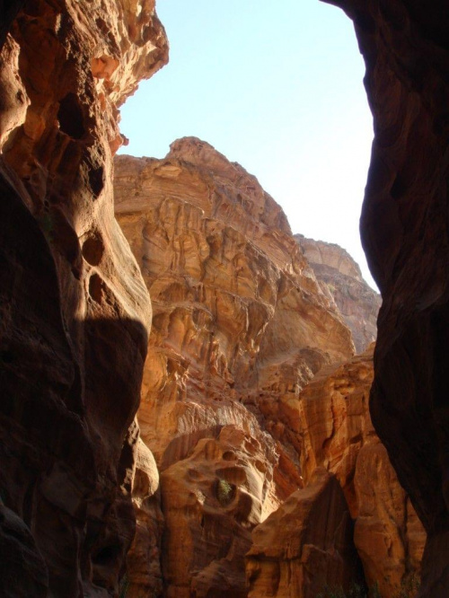 Petra (Jordania)