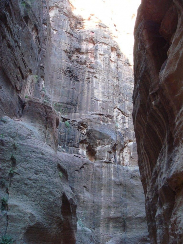 Petra (Jordania)