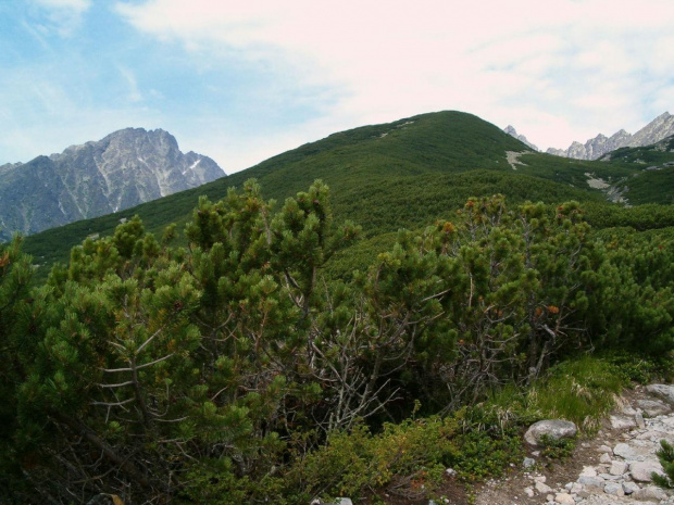 Sienna Kopa, w tle Gierlach #Tatry