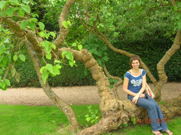 Charlecote Park - niesamowite drzewo w ogrodzie:)